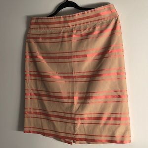 J Crew Skirt